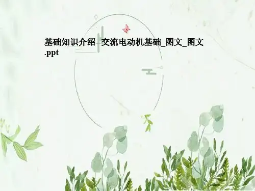 基础知识介绍--交流电动机基础_图文_图文