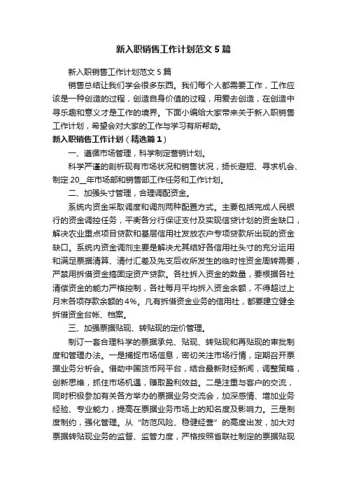 新入职销售工作计划范文5篇