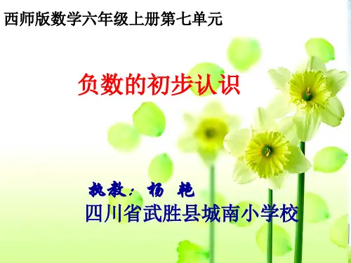 六年级上册数学课件 负数的初步认识西师大版(共14张PPT)