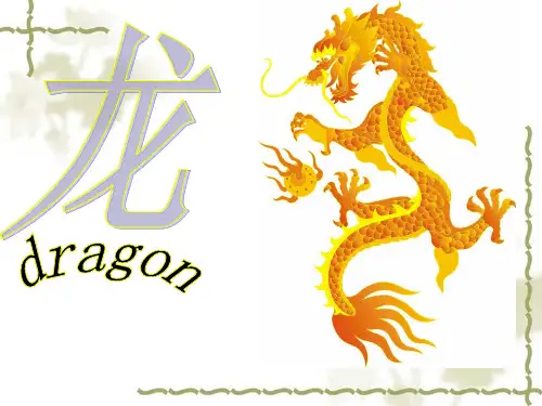 龙的介绍