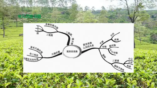 中考数学第七单元图形的变换第30课时三视图与展开图