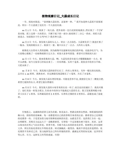 植物观察日记_大蒜成长日记