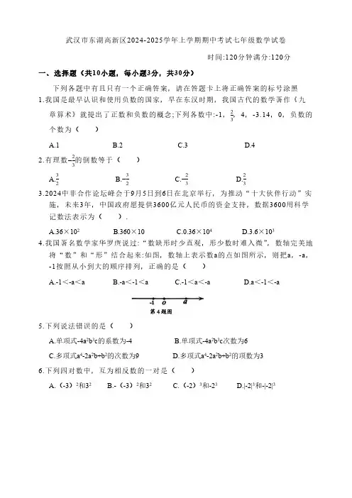 湖北省武汉市东湖高新区2024-2025学年七年级上学期期中考试数学试卷+