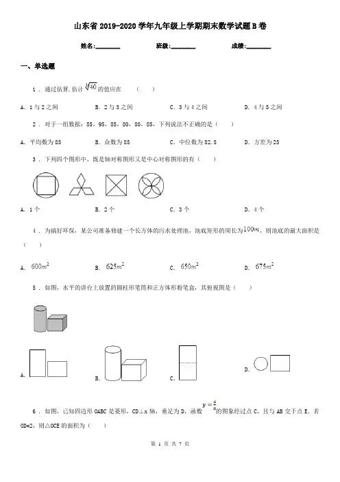 山东省2019-2020学年九年级上学期期末数学试题B卷