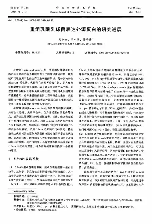 重组乳酸乳球菌表达外源蛋白的研究进展