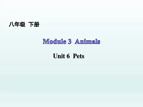 英语八年级下册-Unit6课件(含答案)
