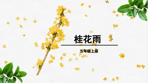 桂花雨 课件(共35张PPT)