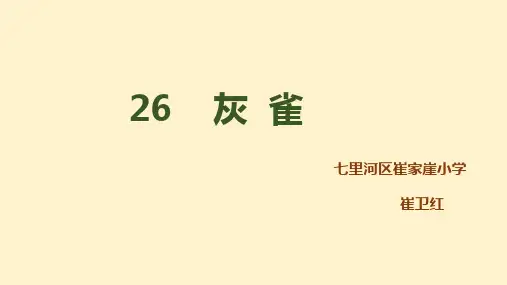 三年级上册语文-《26灰雀》(18张ppt)人教部编版公开课课件