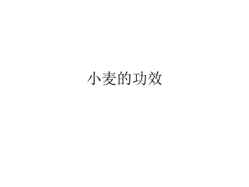 小麦的功效