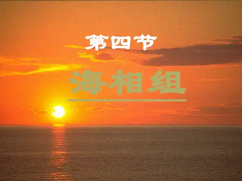 6-海相组解析