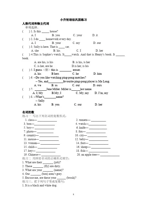 六年级下册英语试题-小升初语法巩固练习(含答案)   人教PEP版