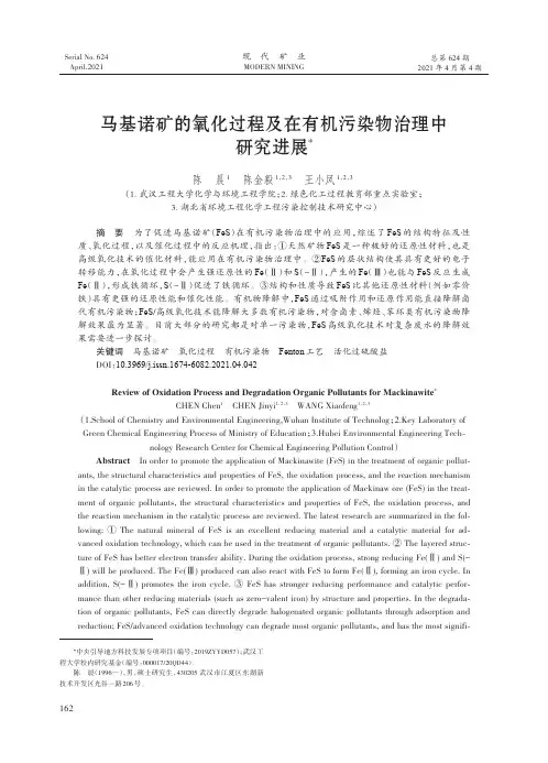 马基诺矿的氧化过程及在有机污染物治理中研究进展