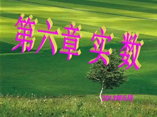 新人教版七年级下册数学第六章期末复习课件
