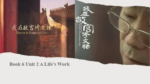 Unit2+Developing+Ideas+课件-高二外研版(2019)英语选择性必修第三册