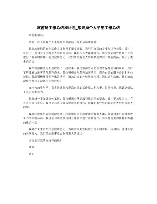 旅游局工作总结和计划_旅游局个人半年工作总结