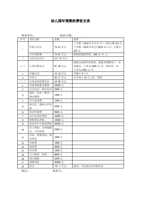 幼儿园---13.年预算经费收支表
