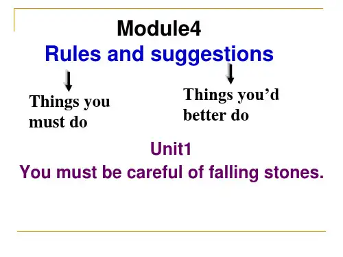 Module 4 Unit1 课件 2021-2022学年外研版英语九年级下册