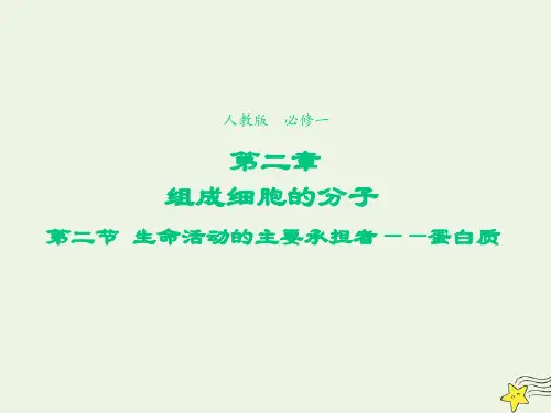 高中生物第二章组成细胞的分子第2节生命活动的主要承担者__蛋白质3课件新人教版必修
