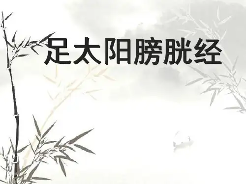 足太阳膀胱经PPT精品医学课件
