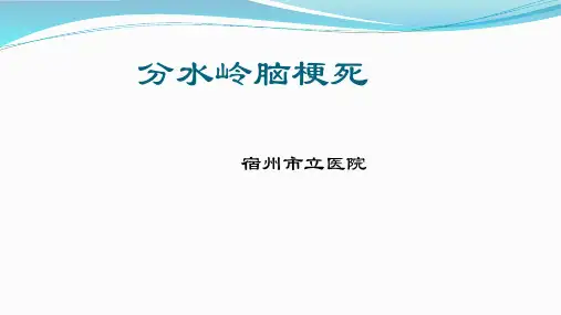 分水岭脑梗死PPT课件