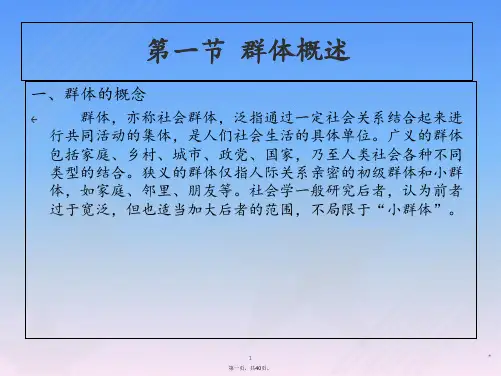 11第十一章--体育群体与人群体育的社会学分析解析
