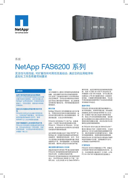 NetApp-FAS6200-系列_zhCN