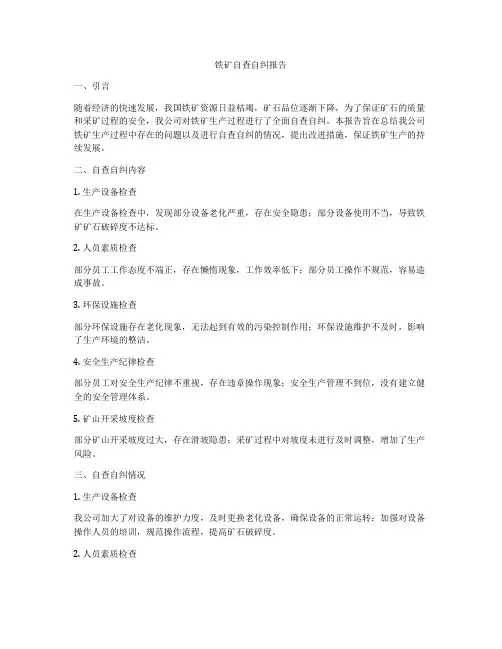 铁矿自查自纠报告