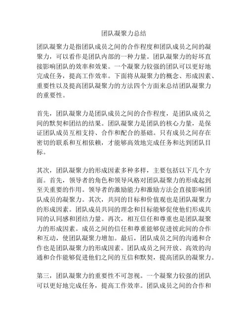 团队凝聚力总结