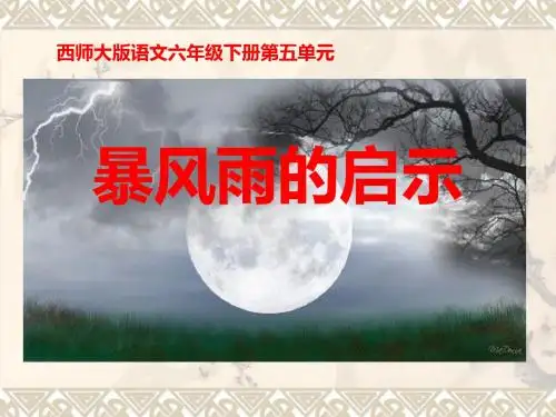 《暴风雨的启示》PPT课件2