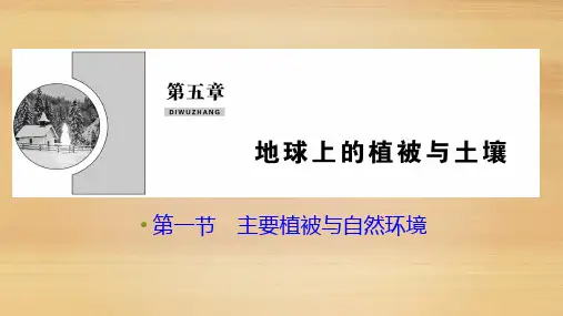 【新教材】高中地理 湘教版 必修一：第五章 第一节 主要植被与自然环境 课件