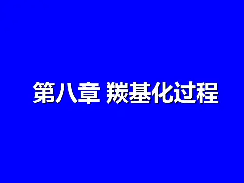 羰基化过程.