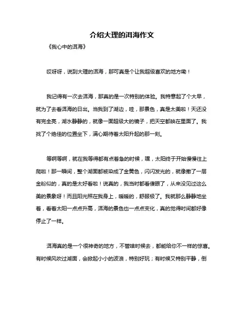 介绍大理的洱海作文