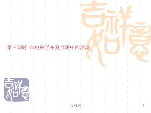 2012版高三物理一轮复习课件：11.3带电粒子在复合场中的运动(大纲版)