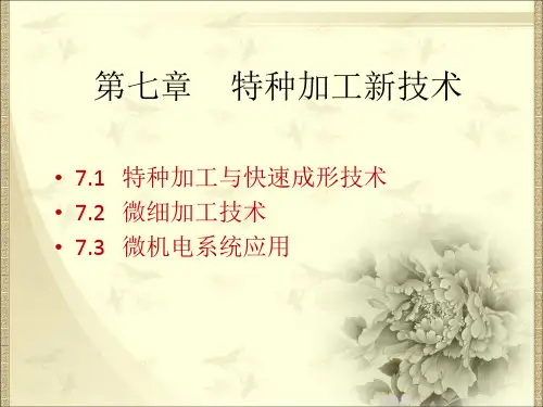 特种加工技术 (6)