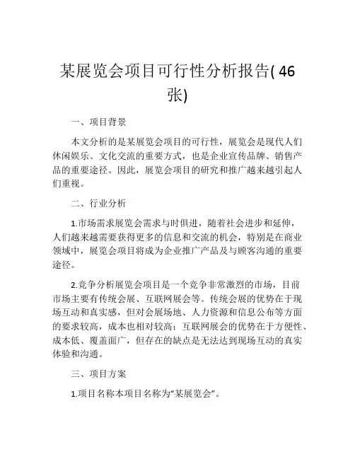 某展览会项目可行性分析报告( 46张)