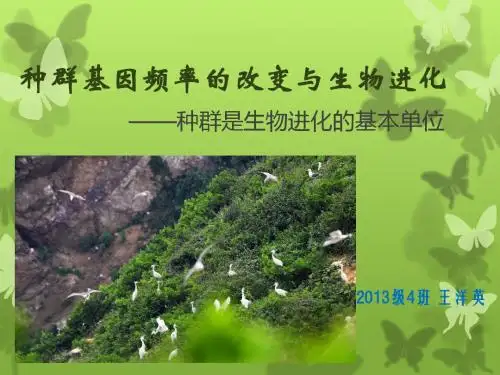 种群基因频率的改变与生物进化
