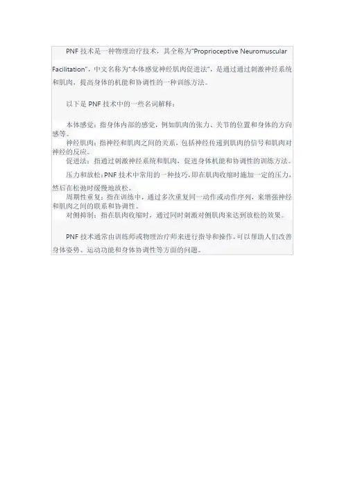 pnf技术的名词解释