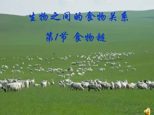 【初中生物】食物链