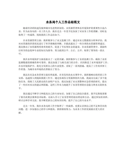 水务局个人工作总结范文