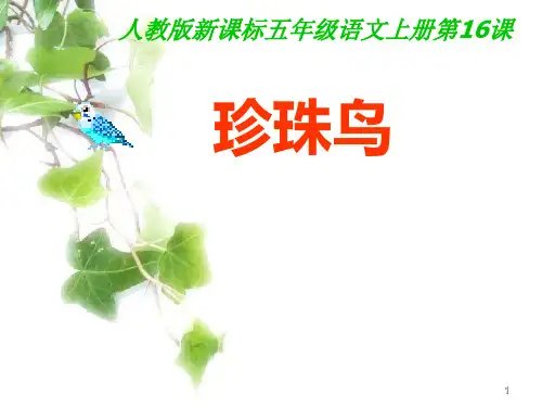 16《珍珠鸟》教学何兴冠PPT课件