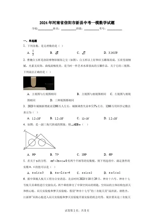 2024年河南省信阳市新县中考一模数学试题