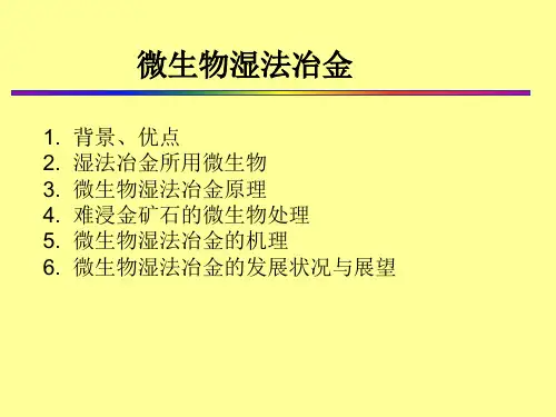微生物湿法冶金PPT