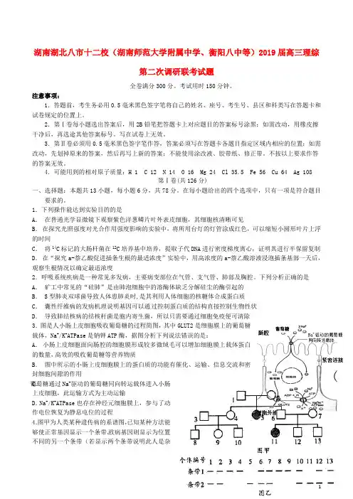 湖南湖北八市十二校(湖南师范大学附属中学、衡阳八中等)2019届高三理综第二次调研联考试题