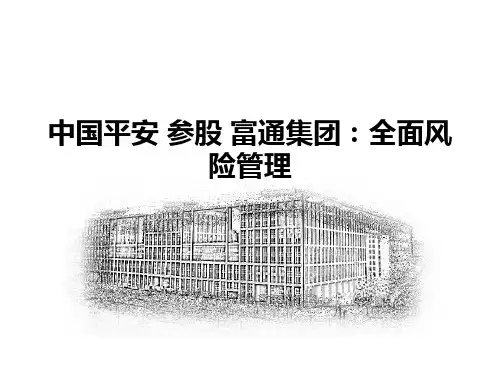 4++平安参股Fortis的案例(全面风险管理)