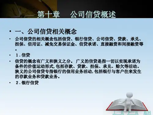 公司 信贷