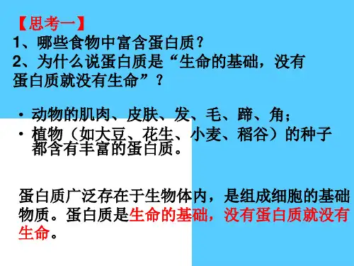 人教版化学选修一1.3《生命的基础—蛋白质》上课课件PPT