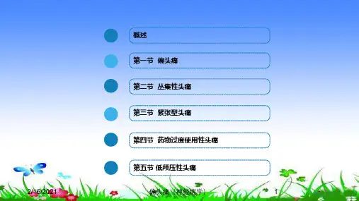 偏头痛(神经病学)课件