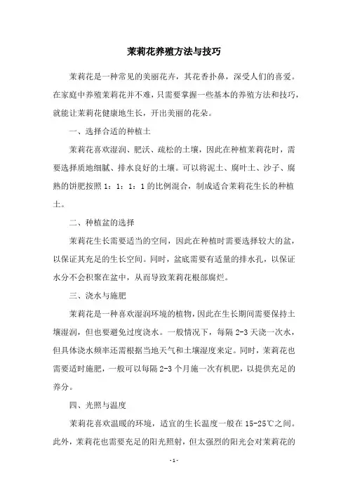 茉莉花养殖方法与技巧