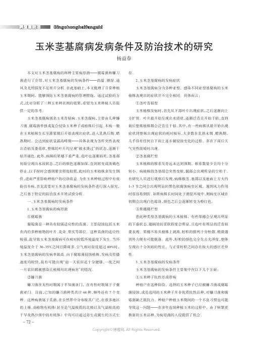 玉米茎基腐病发病条件及防治技术的研究