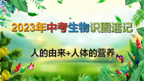 识图速记03 人的由来+人体的营养(复习课件)2023年中考生物常考图形解读
